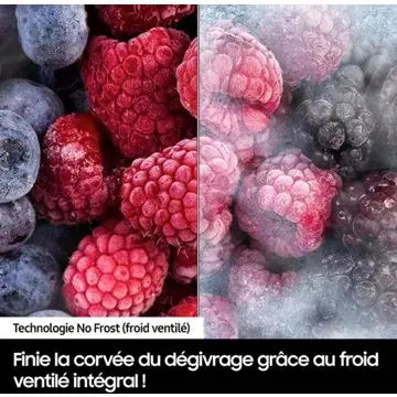 Réfrigérateur combiné encastrable SAMSUNG BRB30603EWW 194cm