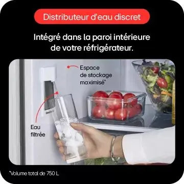 Réfrigérateur multi portes LG GMW765STGJ
